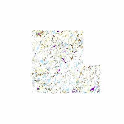 Export Image